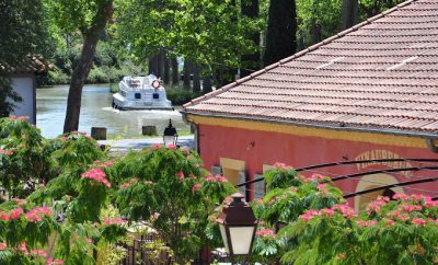 Vinauberge : Un havre de paix et de saveurs au cœur du Languedoc